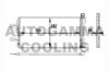 AUTOGAMMA 104481 Condenser, air conditioning